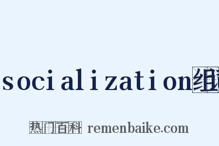 socialization组词是什么意思的图片